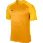 Nike Dry Trophy Iii Short Sleeve T-shirt Jaune M Homme