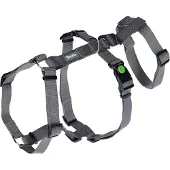 Kerbl Miami Dog Harness Gris 25 mm x 64-100 cm