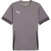 Puma Teamgoal Matchday Maillot Hommes Manches Courtes - Gris