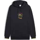 Puma Sweat à Capuche Road To Unity Graphic
