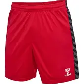 Hummel Pantalon de sport 'Authentic' gris foncé / rouge feu / noir / blanc
