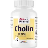 Zein Pharma - Germany GmbH ZeinPharma Choline 600 mg gélules, 60 gélules