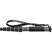 Gitzo GM2562T Carbon Monopode Series 2