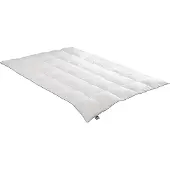 Badenia irisette Daunensteppbett Luna medium (820 g, Duvet, 200 x 200 cm)