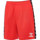 Hummel Pantalon de sport 'Authentic PL' gris foncé / rouge / noir / blanc