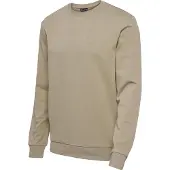 Hummel Sweat de sport 'ACTIVE' taupe