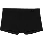 Hom Boxer