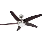 Globo Ventilateur de plafond Fabiola noir mat