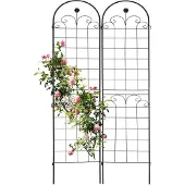 Relaxdays 2x treillis (1.50 cm, 50 cm)