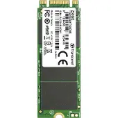 Transcend MTS600S - SSD - 256 Go - interne - M.2 2260 - SATA 6Gb/s