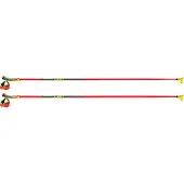LEKI Bâtons de randonnée