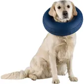 Trixie Inflatable Protector Dog Collar Bleu M