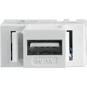 Intellinet Modularbuchse mit USB Typ A-Ladeport 5V/1A