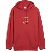 Puma Sweat à Capuche Road To Unity Graphic