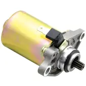Tecnium Piaggio/peugeot 50cc Starter Doré