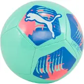 Puma 3