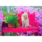 Bluebird Puzzle Puppy in the Colorful Garden