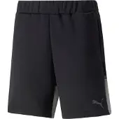 Puma Pantalon de sport 'Team Cup' gris / noir