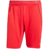 Adidas Pantalon de sport 'Tiro 25 Pro' gris / rouge clair / noir