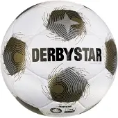 Derbystar 5