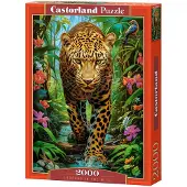 Castorland Puzzle Léopard à l'état sauvage 2000 pièces