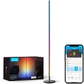 Govee Floor Lamp Basic