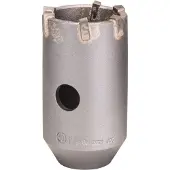 Bosch Accesorios Plus-9 40x50x72-6 Hollow Crown Argenté