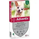 Advantix 40/200 pour chien