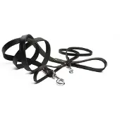 Beeztees BZ LAISSE EN CUIR NOIR 100X16 (Chien, Promenade)