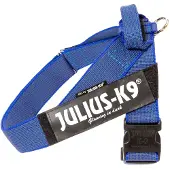 Idc Julius K9 Idc Norwegian Dog Harness Bleu 2XL-3