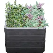 Graf Ergo Quadro S 50