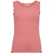 Cream Haut 'Ribba' rose ancienne