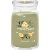 Yankee candle Bougie Sauge & Agrumes Signature (sauge et agrumes) - 567,0 g