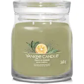 Yankee candle Sage & Citrus bougie parfumée Signature Signature 368 g