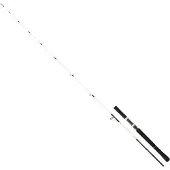 Daiwa Saltist Off Shore Jigging Rod Noir 2.06 m / 60-150 g