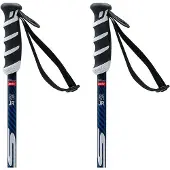 Swix Wc Pro Sl Junior Poles Argenté 110 cm Garçon