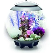 Oase Décoration pour aquarium 30 l 48444