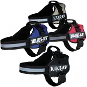 Julius-K9 Julius K9 Power Cablebaum / faisceau de câbles pour étiquettes noir