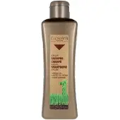 Salerm BIOKERA ARGANOLOGY shampoo 300 ml