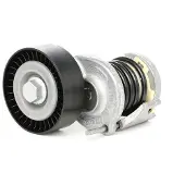 Skf Galet tendeur, courroie d'accessoire VKM 31058