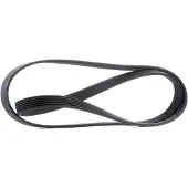 CONTITECH Courroie trapézoïdale à nervures CONTINENTAL 6PK1605