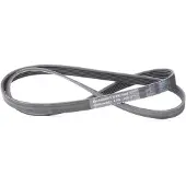 CONTITECH Courroie trapézoïdale à nervures CONTINENTAL 6PK1460