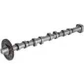 FEBI BILSTEIN Arbre à cames 178379