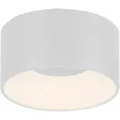 Paul Neuhaus Plafonnier à LED - Ø 16 cm - blanc - plastique - intensité lumineuse variable