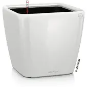 Lechuza Jardinière de table QUADRO LS 21 ALL-IN-ONE Blanc brillant
