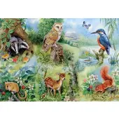 The House of Puzzles Puzzle XXL Animaux Étude de la nature 250 pièces