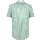 Felix Hardy Chemise vert / blanc