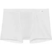 Hom Boxer