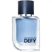 Calvin Klein Defy Eau de Toilette 50 ml