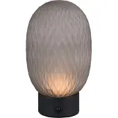 TRIO Lampe de table Facette noir avec verre fumé